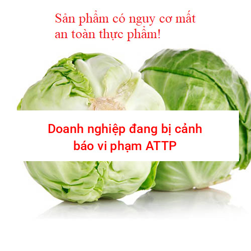 Bắp cải