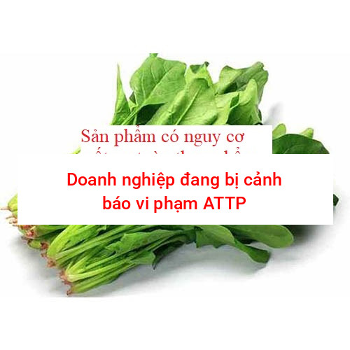 Cải bó xôi
