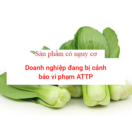 Cải chíp