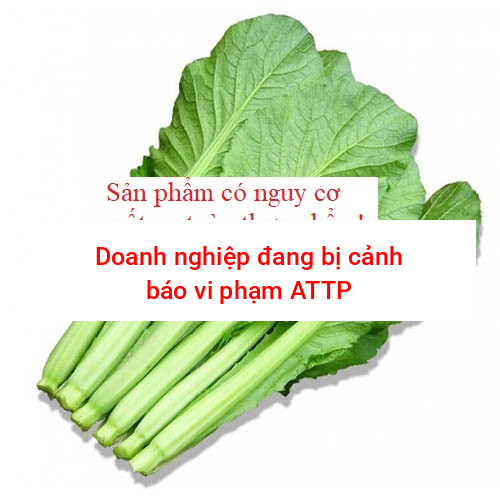 Cải mèo