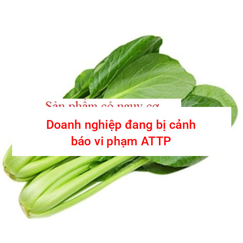 Cải ngọt