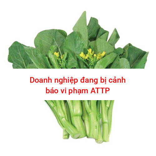 Cải ngồng