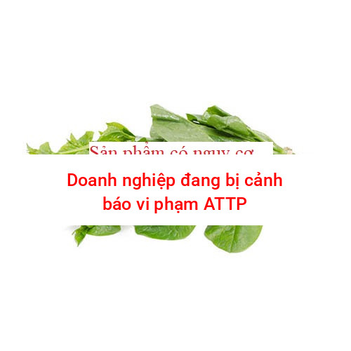 Mồng tơi