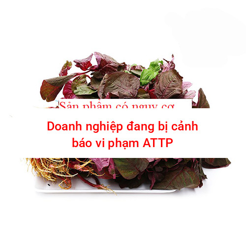Rau dền