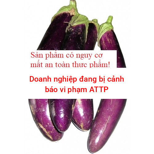 Cà tím dài