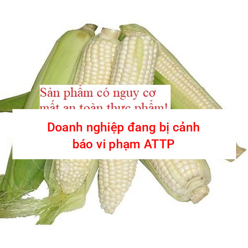 Ngô nếp