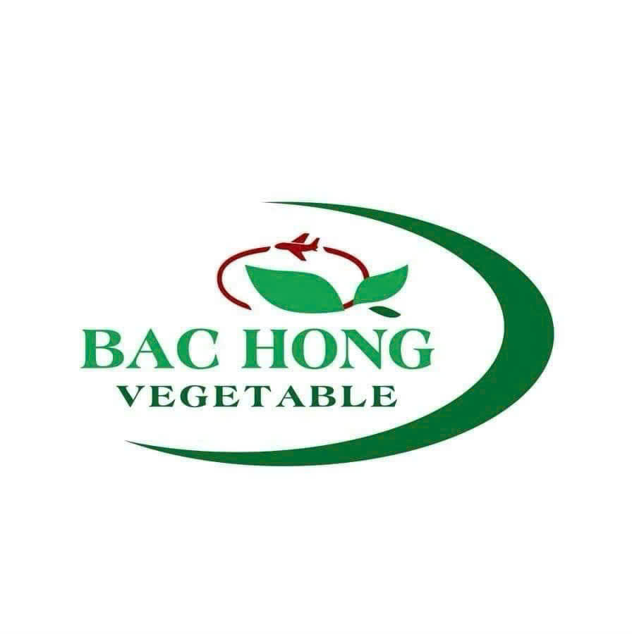 HỢP TÁC XÃ SẢN XUẤT VÀ TIÊU THỤ RAU AN TOÀN BẮC HỒNG