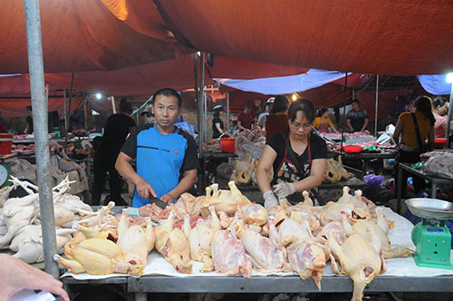 HKD Nguyễn Đình Quang
