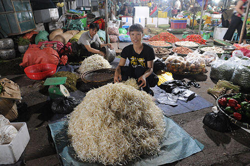 HKD Lê Thị Thu Hoài