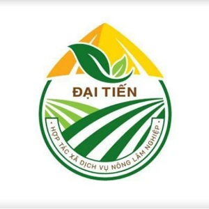 Hợp tác xã dịch vụ nông lâm nghiệp Đại Tiến