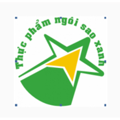 Công ty CP thực phẩm Ngôi sao xanh