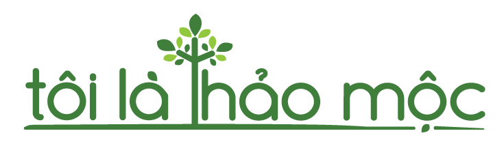 Công ty cổ phần nông nghiệp sinh thái Tuệ Viên