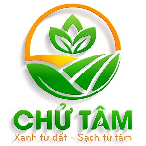 HTX rau sạch Chử Tâm