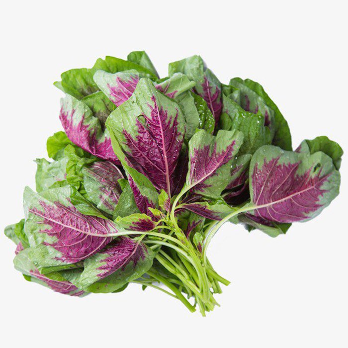 Product Info Image 1