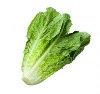 Product Info Image 1