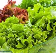 Product Info Image 2