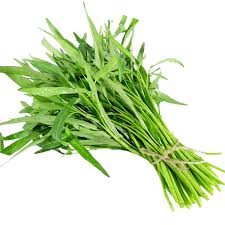 Product Info Image 4