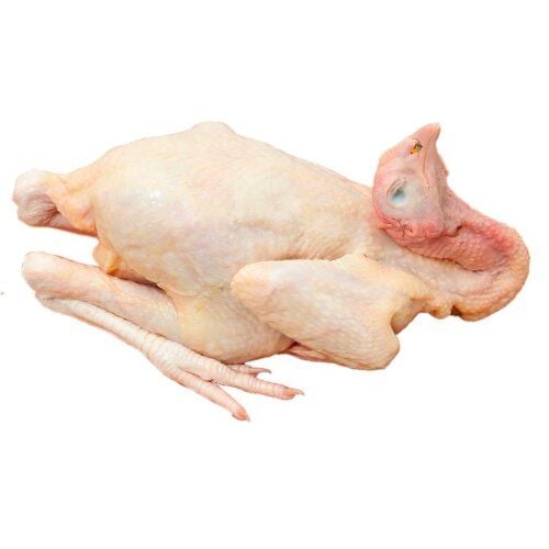 Product Info Image 1