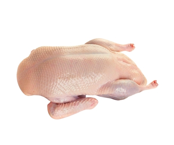 Product Info Image 8