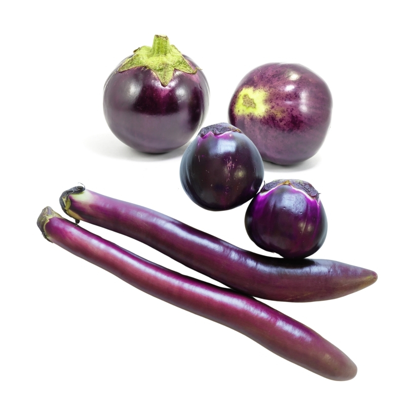 Product Info Image 22