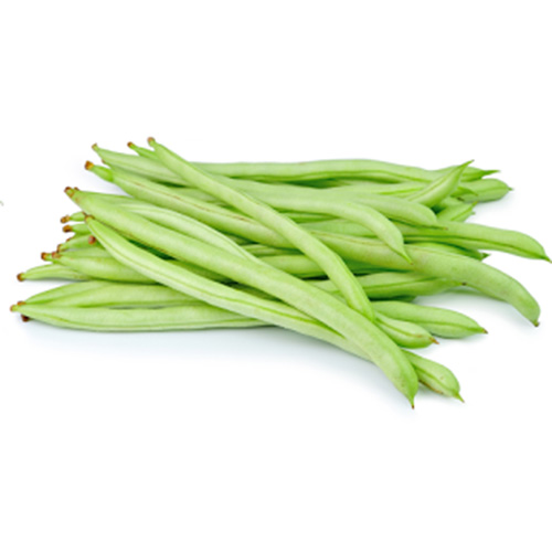 Product Info Image 11