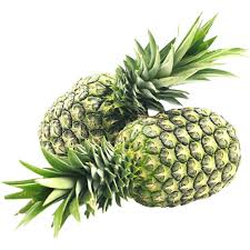 Product Info Image 4