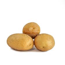 Product Info Image 18