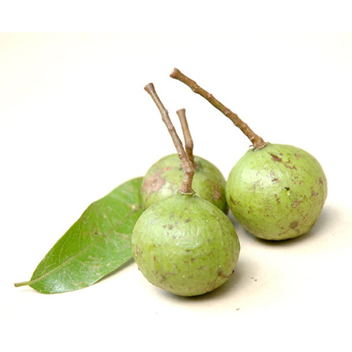 Product Info Image 24