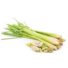 Product Info Image 16