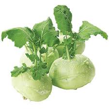 Product Info Image 13