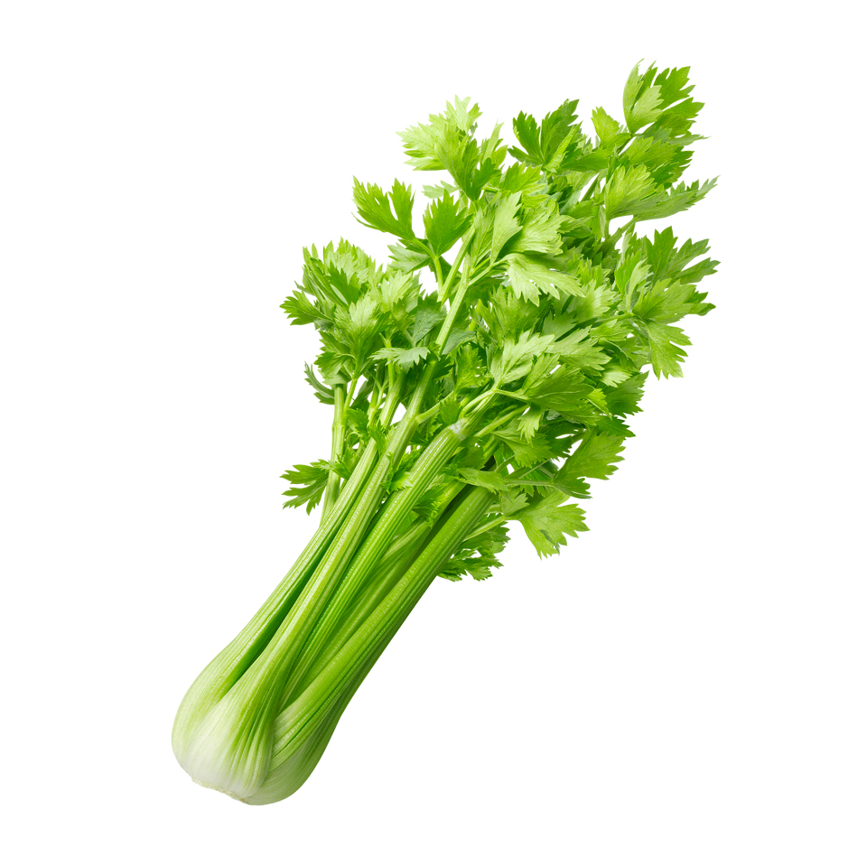 Product Info Image 17