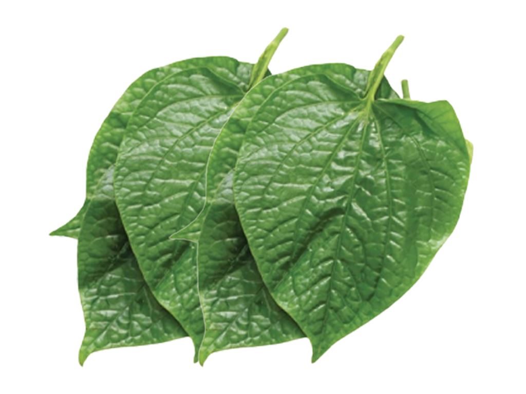 Product Info Image 23