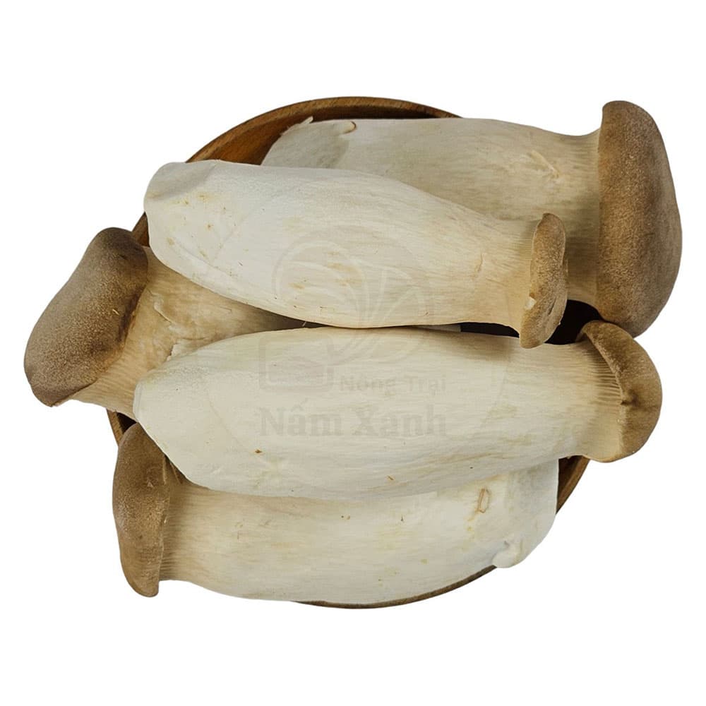 Product Info Image 21