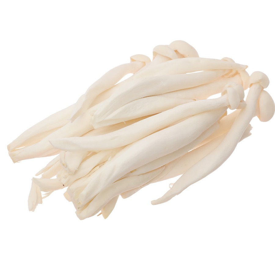 Product Info Image 24