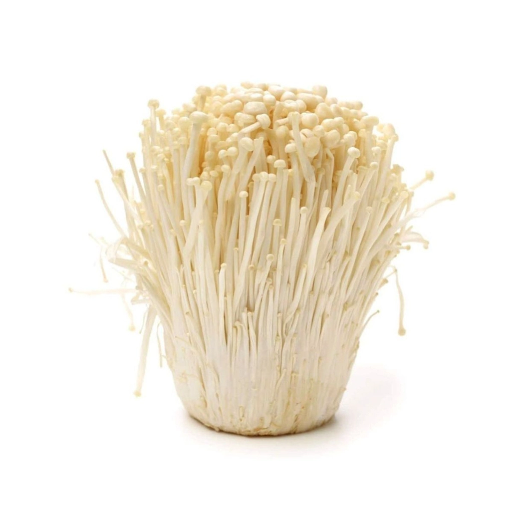 Product Info Image 22