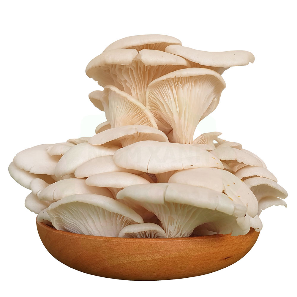 Product Info Image 19