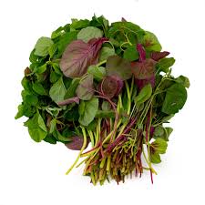 Product Info Image 1