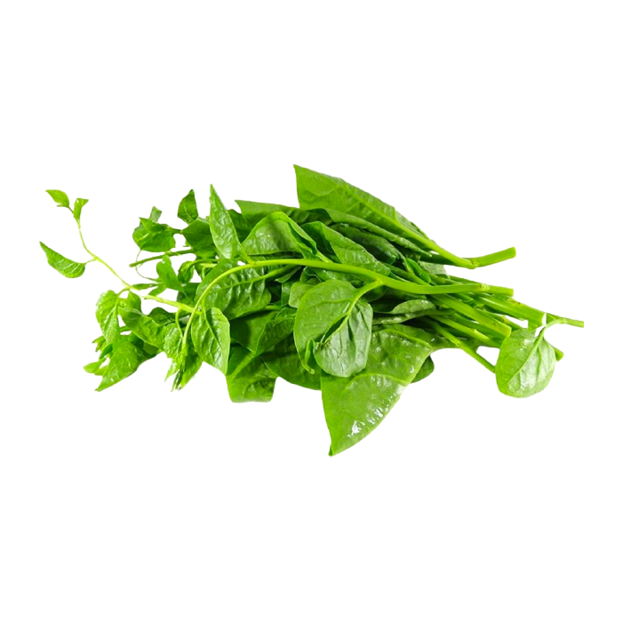 Product Info Image 10