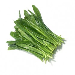 Product Info Image 6