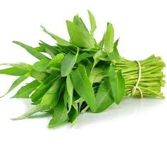 Product Info Image 12