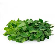 Product Info Image 16