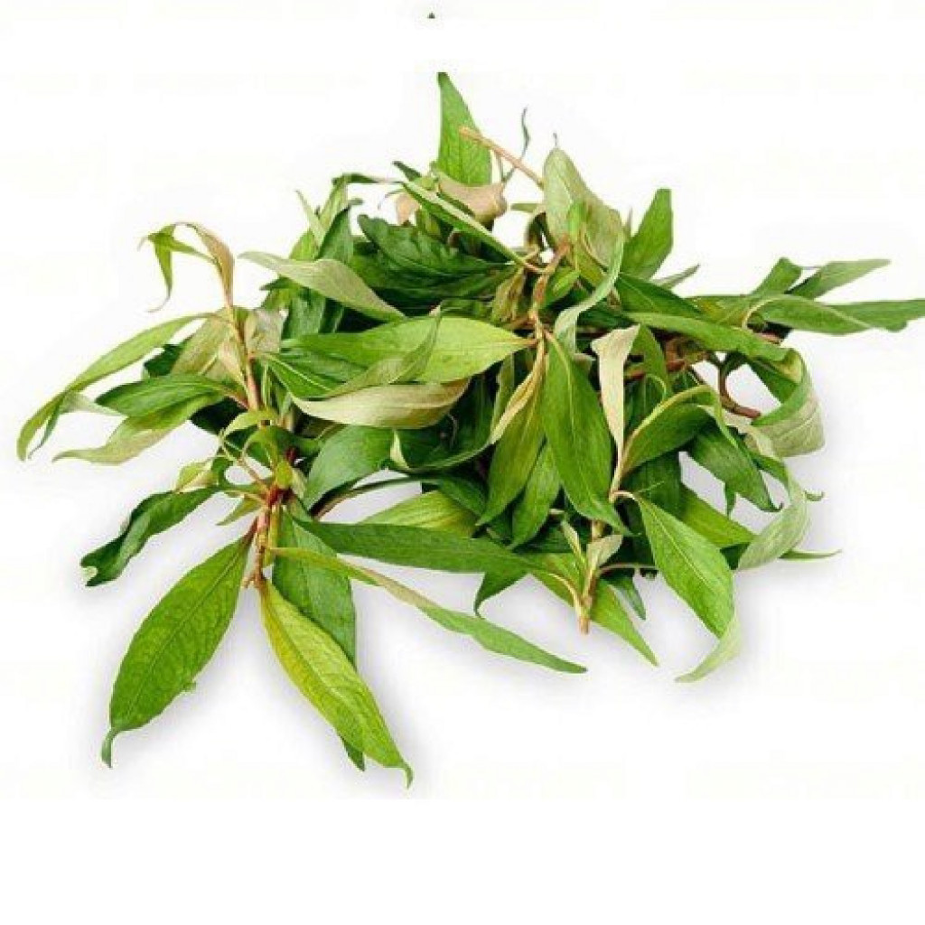 Product Info Image 9