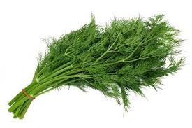 Product Info Image 2