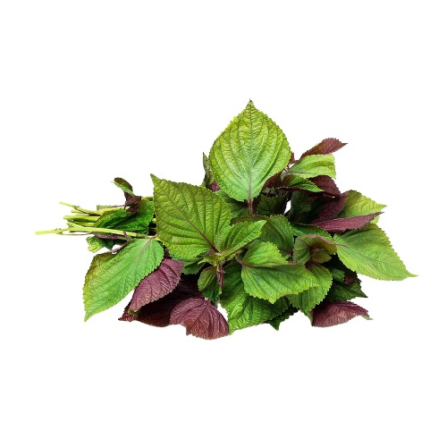 Product Info Image 25