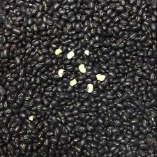 Product Info Image 2