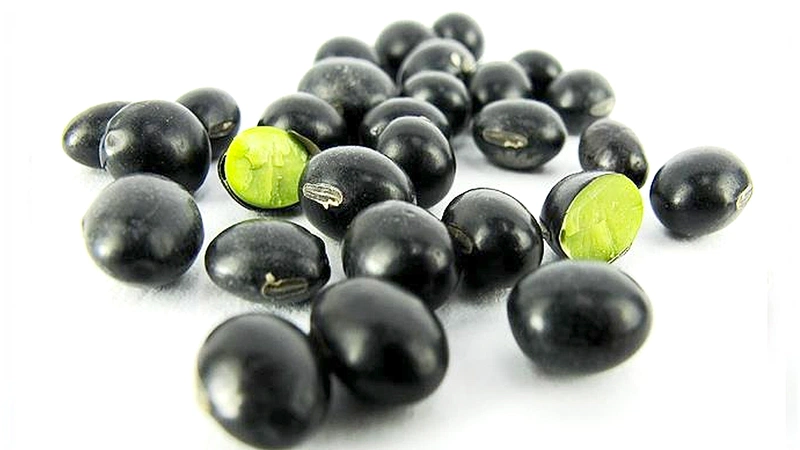 Product Info Image 1