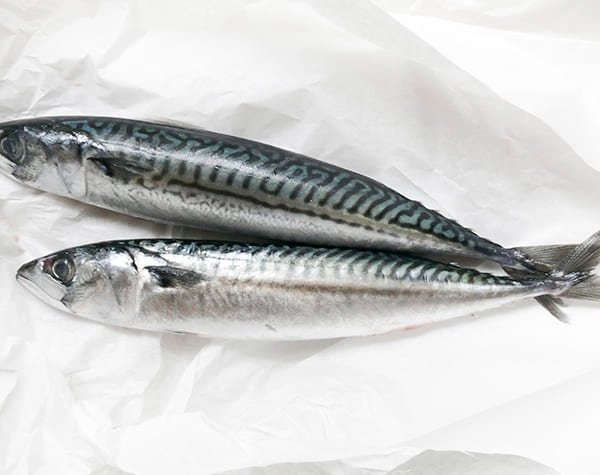 Product Info Image 9