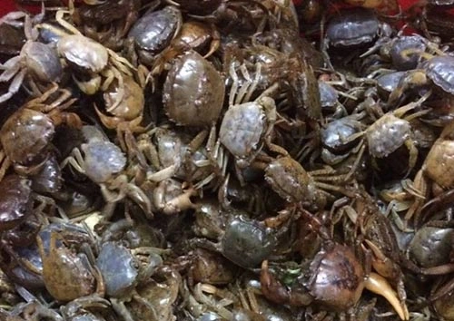 Product Info Image 7