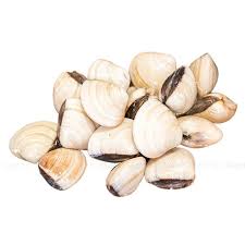 Product Info Image 5