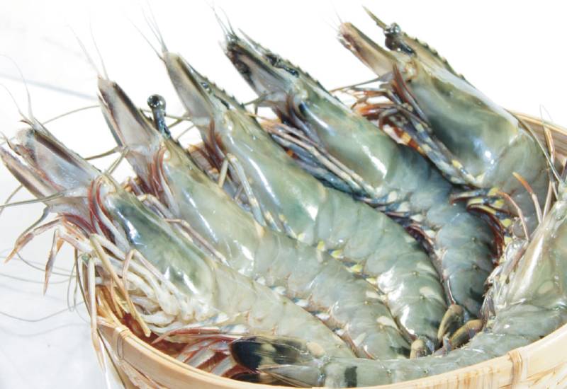 Product Info Image 12